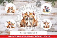 Kindred Ribbons Wind Spinner Product Image 1