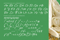 Kinetic Anthem - Modern Handbrush Script Product Image 18