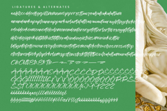 Kinetic Anthem - Modern Handbrush Script Product Image 19