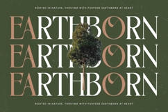 Kinetic Bravely - Bold Tall Serif Font Product Image 9