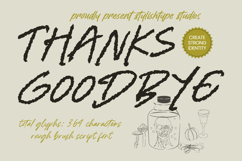 Kinetica Scribble Rough Brush Script Product Image 15