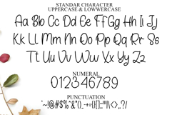 Kingdom Santaclaus Product Image 7