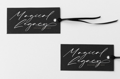 Kingdome Daylight - Modern Signature Font Product Image 11