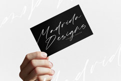 Kingdome Daylight - Modern Signature Font Product Image 15