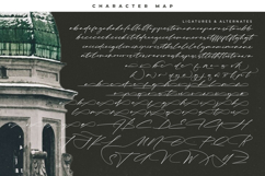 Kingdome Daylight - Modern Signature Font Product Image 19