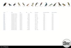 Kingfisher Vintage Animal illustration Clip Art, Clipart Product Image 3