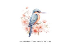 Kingfisher Clipart PNG - Watercolor Bird Sublimation Design Product Image 1