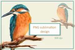 Bird on branch | Kingfisher PNG Sublimation design Product Image 1