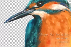 Bird on branch | Kingfisher PNG Sublimation design Product Image 2