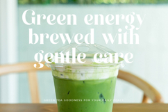 Kinsley Angels - New Modern Alternate Serif Font Product Image 2