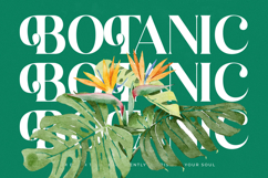 Kinsley Angels - New Modern Alternate Serif Font Product Image 9