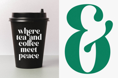 Kinsley Angels - New Modern Alternate Serif Font Product Image 10