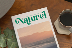 Kinsley Angels - New Modern Alternate Serif Font Product Image 12