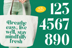 Kinsley Angels - New Modern Alternate Serif Font Product Image 14