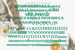 Kinsley Angels - New Modern Alternate Serif Font Product Image 19