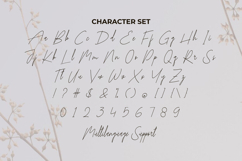 Kiona Rosebelle Font Product Image 5