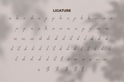 Kiona Rosebelle Font Product Image 7