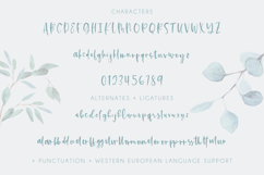 Kismet Script Product Image 10