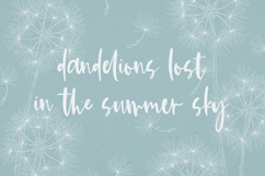 Kismet Script Product Image 8