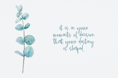 Kismet Script Product Image 9