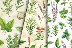 Kitchen Herbs Digital Paper Bundle Product Image 6