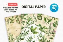 Kitchen Herbs Digital Paper, Kitchen Background Product Image 1
