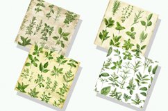 Kitchen Herbs Digital Paper Bundle Product Image 2