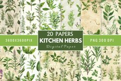 Kitchen Herbs Digital Paper Bundle Product Image 1