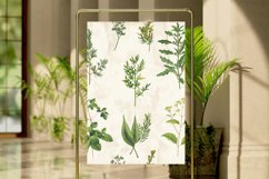 Kitchen Herbs Digital Paper Bundle Product Image 4