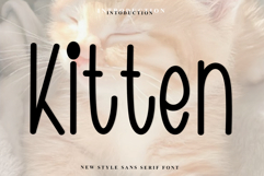 Kitten Product Image 1