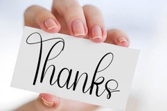 Kittyland Product Image 2