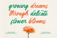 Klaribela - Bold Calligraphy Font Product Image 2