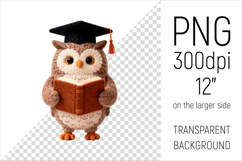 Knitted Graduation Owl with Book Clipart. This high-quality illustration is perfect for school projects, graduation gifts, teacher appreciation designs, and educational materials.