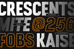 Koba - Modern Brutalism Logo Font Product Image 10