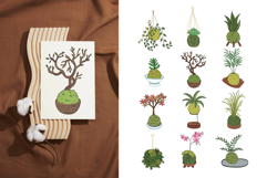 12 Hand-Drawn Kokedama Illustrations and 6 Seamless Patterns Product Image 2