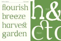 Konfus Organic Modern Serif Duo Product Image 3