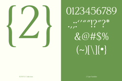 Konfus Organic Modern Serif Duo Product Image 12