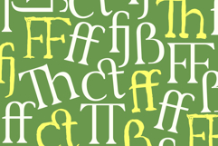 Konfus Organic Modern Serif Duo Product Image 14