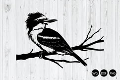 Kookaburra SVG, Australian Kookaburra SVG, Bird SVG Product Image 1