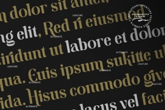 Korbiya - Elegant Serif Font Product Image 6