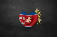 Backgrounds for Photography & Marketing. Korea North Product Image 2