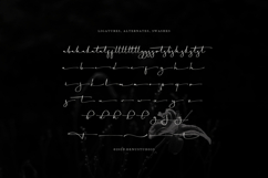 Kostaciya | Classic Signature Script Product Image 12