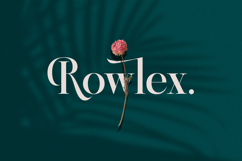 Kozan - Elegant Serif Typeface Font Product Image 3