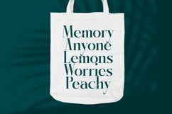 Kozan - Elegant Serif Typeface Font Product Image 11