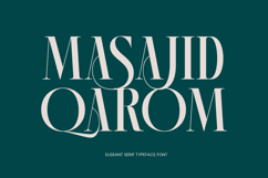 Kozan - Elegant Serif Typeface Font Product Image 13