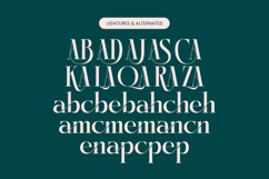 Kozan - Elegant Serif Typeface Font Product Image 18