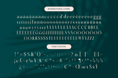 Kozan - Elegant Serif Typeface Font Product Image 19