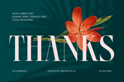 Kozan - Elegant Serif Typeface Font Product Image 20