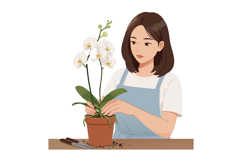 Woman Caring for White Orchid Plant in Pot Gardening at Home Product Image 1
