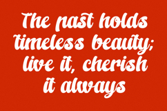 Kungfu Flame - Modern Bold Calligraphy Product Image 11